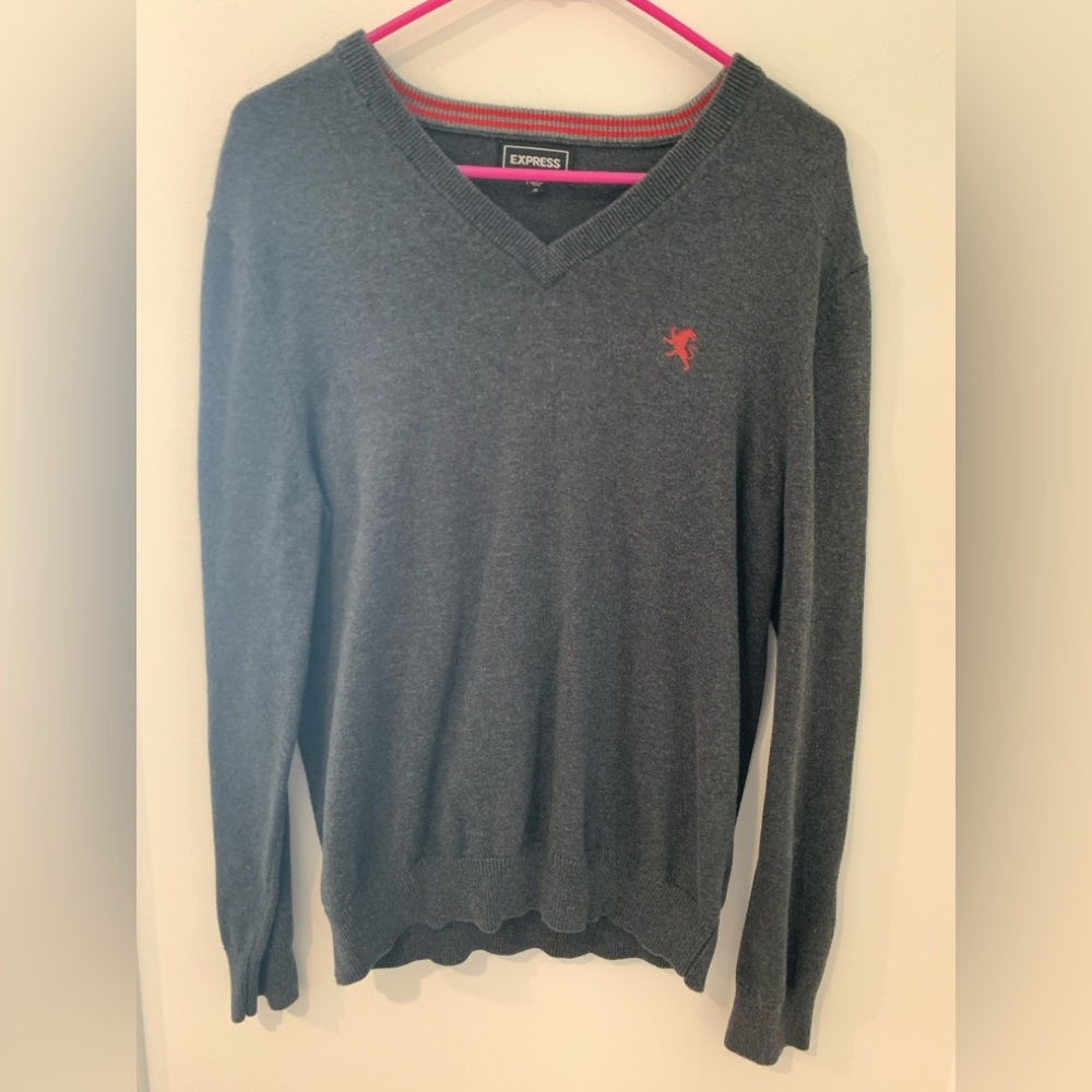 Express dark gray vneck sweater